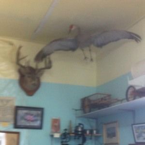 Meet your Posher, Cheryl